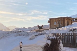 10_haus_alpenfrieden_winter.jpg