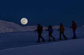 09_winterwandern_nacht_defreggen_TVBOsttirol_Willi-Seebacher.jpg