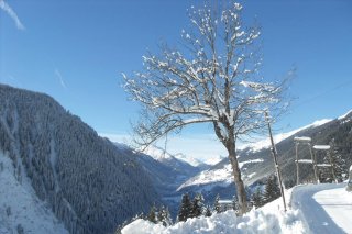 11_defreggental_aussicht_winter.jpg